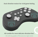 GULIKIT ELVES CONTROLLER GRAY (NS18) - DataBlitz