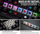 Glorious PC Gaming Race Modular Mechanical Keyboard GMMK Tenkeyless (Brown Switches) (Black)