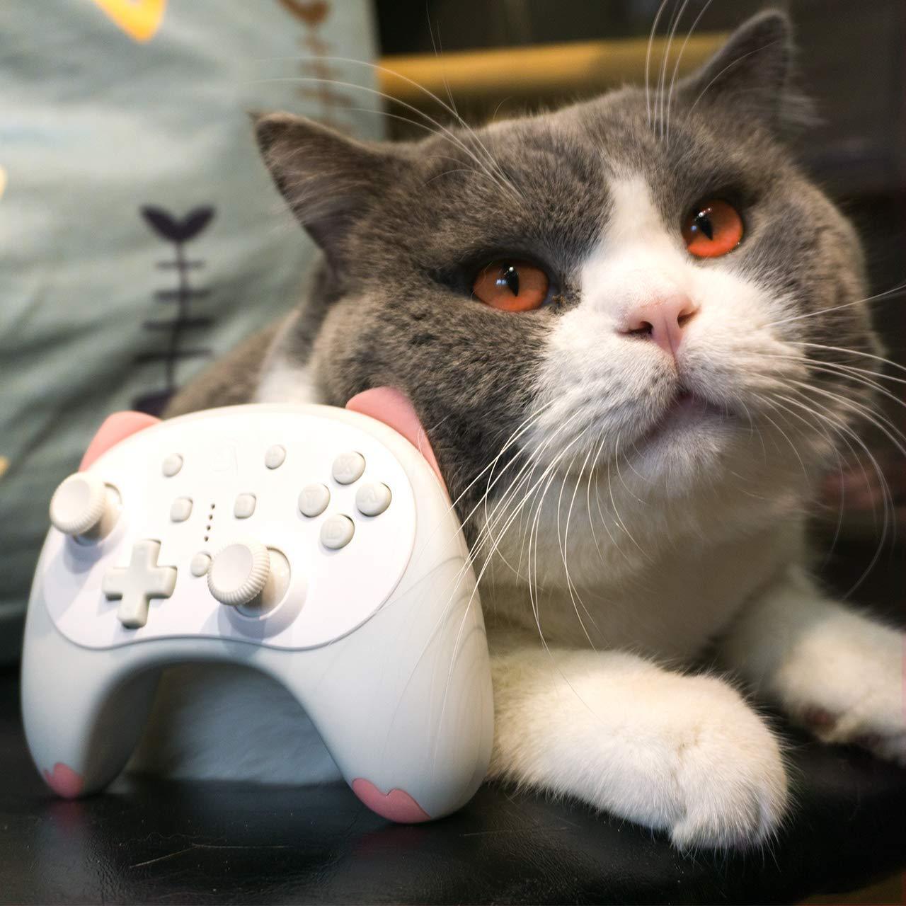 IINE NSW WIRELESS CONTROLLER CAT SERIES WHITE/PINK (L295) - DataBlitz