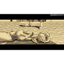 Nintendo Switch Aviary Attorney Definitive Edition