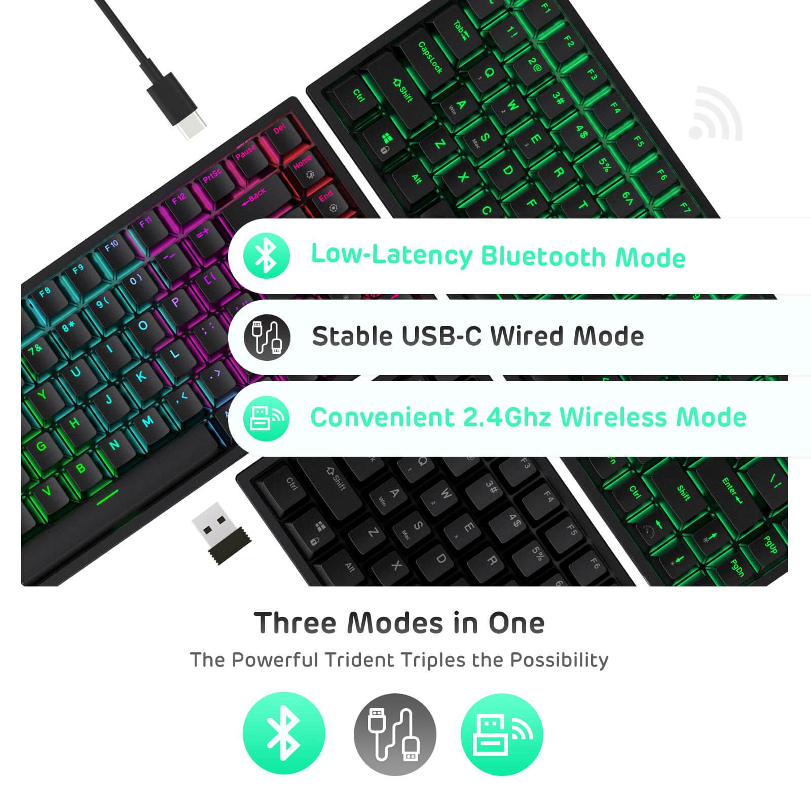 ROYAL KLUDGE RK84 TRI-MODE RGB 84 KEYS HOT SWAPPABLE MECHANICAL KEYBOARD BLACK (BROWN SWITCH) - DataBlitz