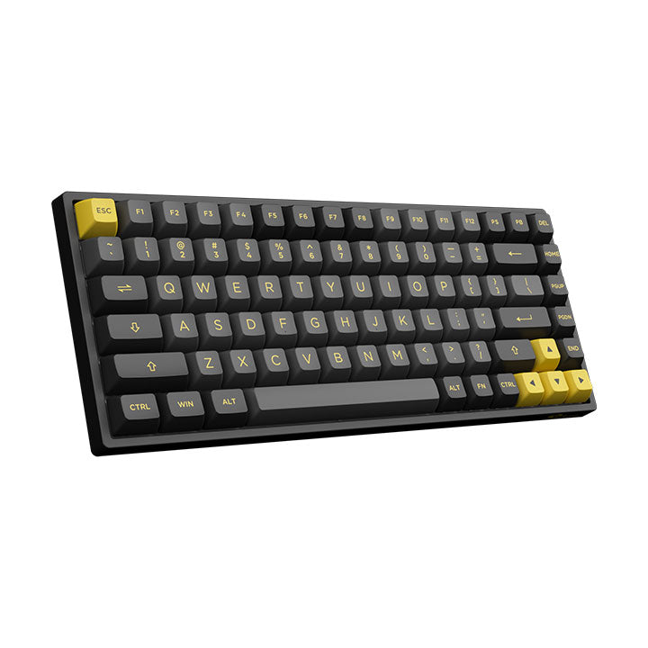 Akko Black & Gold 3084B Plus Multi-Modes RGB Mechanical Keyboard (Akko X TTC Princess)