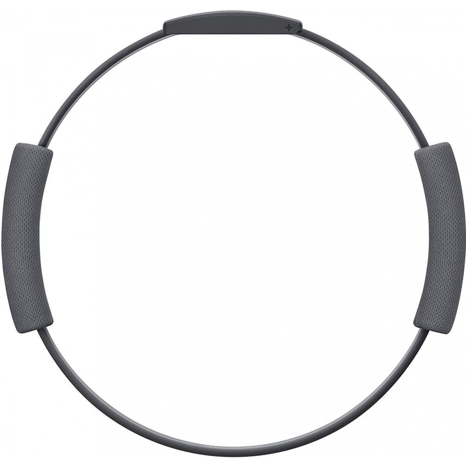 Nintendo Switch Ringfit Adventure