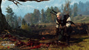 PS4 THE WITCHER III WILD HUNT GAME OF THE YEAR EDITION REG.3 - DataBlitz