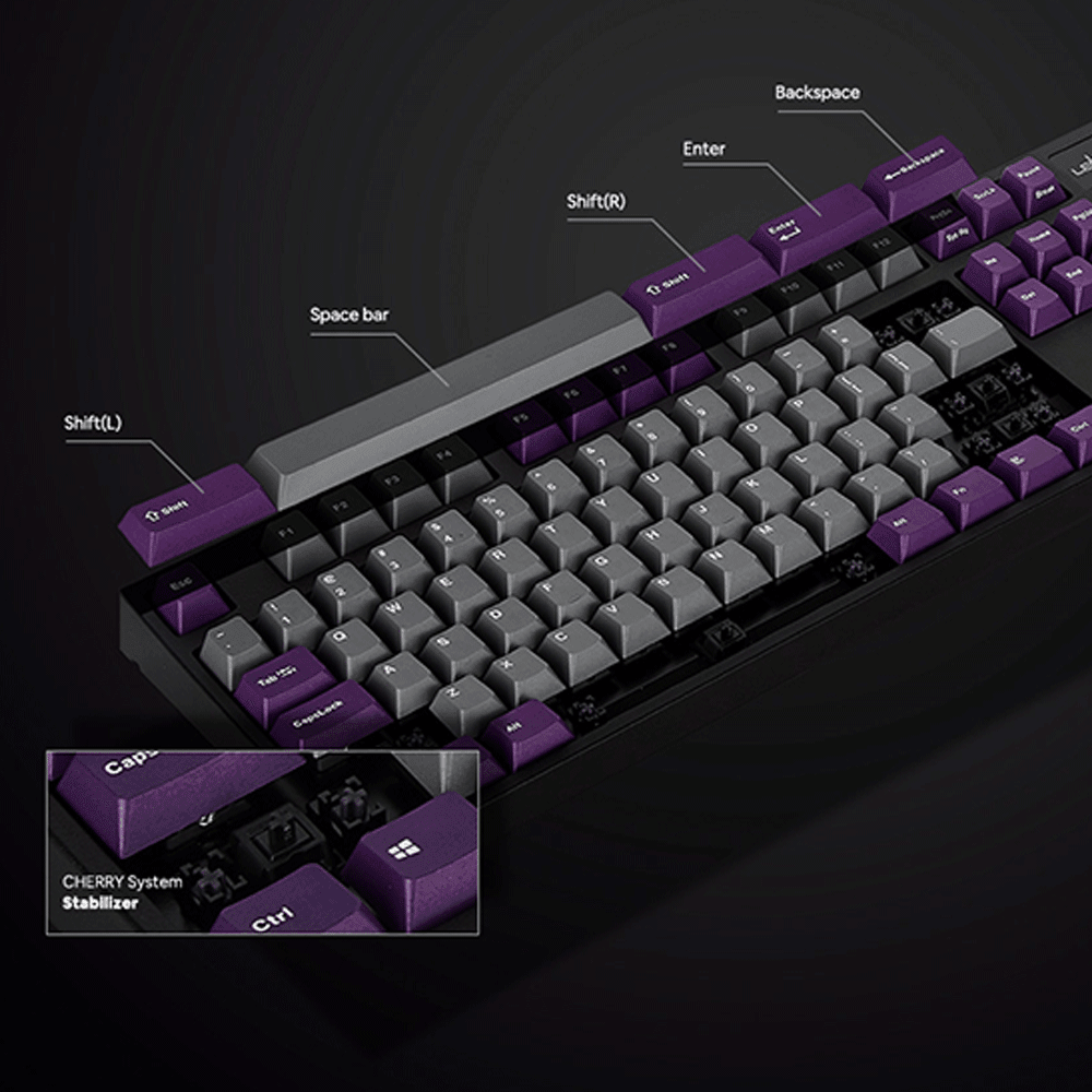 LEOPOLD 104-KEYS MECHANICAL KEYBOARD TWO-TONE GRAY/PURPLE KEYCAP + WHITE FONT (SILENT RED SWITCH) (FC900RS/EGPPD(B)) - DataBlitz