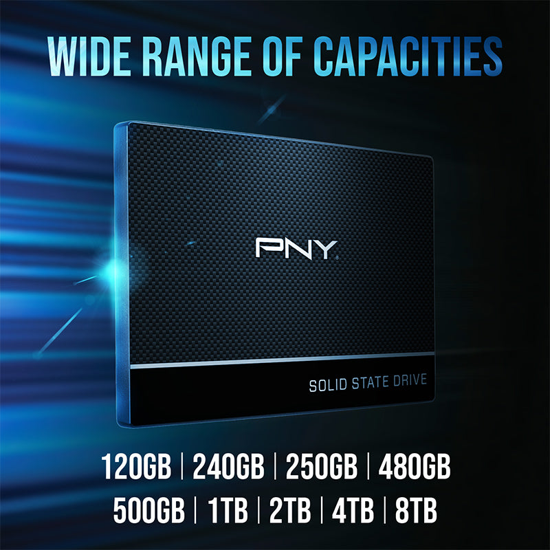 PNY CS900 1TB 2.5” SATA III 6GB/S SSD (SSD7CS900-1TB-RB)