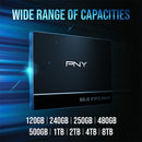 PNY CS900 1TB 2.5” SATA III 6GB/S SSD (SSD7CS900-1TB-RB)