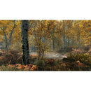 XBOX ONE THE ELDER SCROLLS V SKYRIM SPECIAL EDITION (US) - DataBlitz