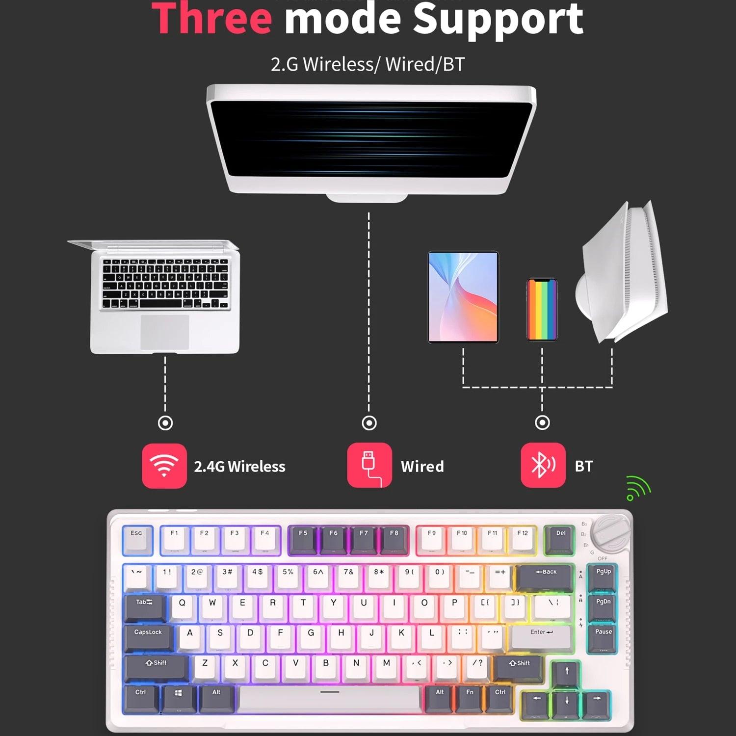 Royal Kludge RK-H81 Tri-Mode RGB 81 Keys Hot Swappable Mechanical Keyboard White Night (Sky Cyan Switch) - DataBlitz