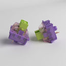 AKKO CS MECHANICAL SWITCH KEYBOARD REPLACEMENT 45 PCS (STARFISH) - DataBlitz