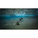 Nintendo Switch Ark Survival Evolved (EU)