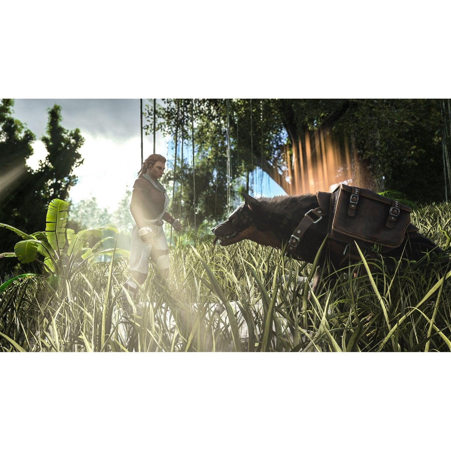 Nintendo Switch Ark Survival Evolved (US)
