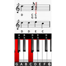 Nintendo Switch Dr Kawashimas Brain Training | DataBlitz