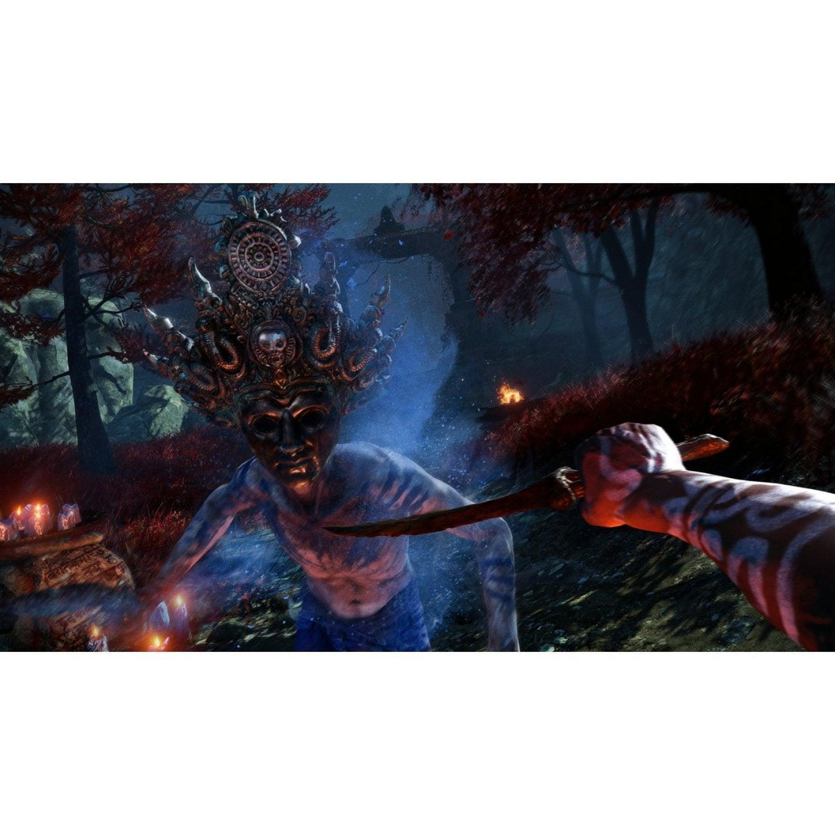 PS4 Far Cry 4 All - DataBlitz