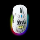 DRAGONWAR INFINITY RGB GAMING WIRELESS MOUSE (WHITE) (ELE-G27W-WH) - DataBlitz