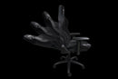 DRAGONWAR PRO-GAMING CHAIR (BLACK) (GC-012) - DataBlitz