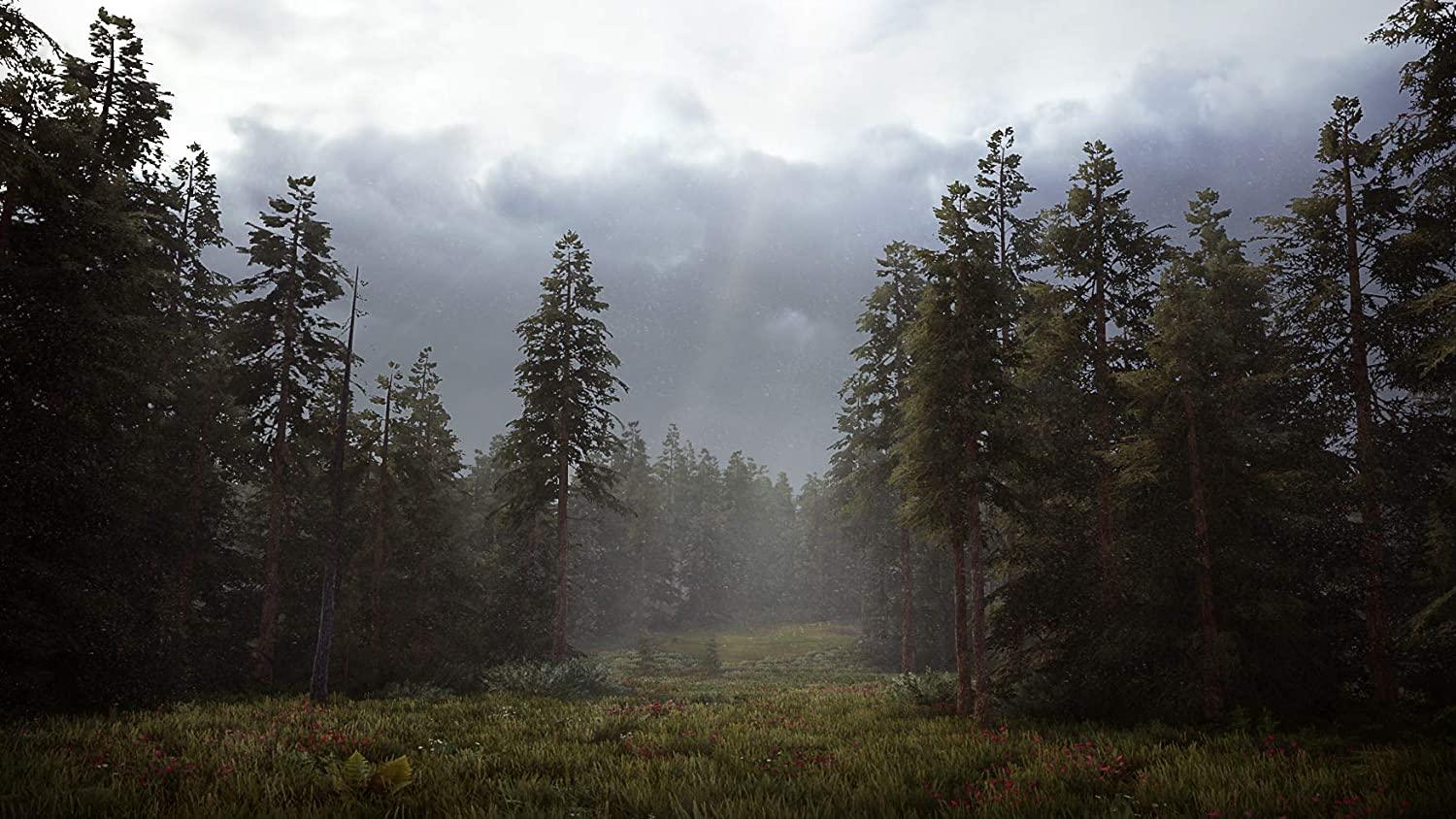 PS4 HUNTING SIMULATOR 2 ALL (ENG/FR) - DataBlitz