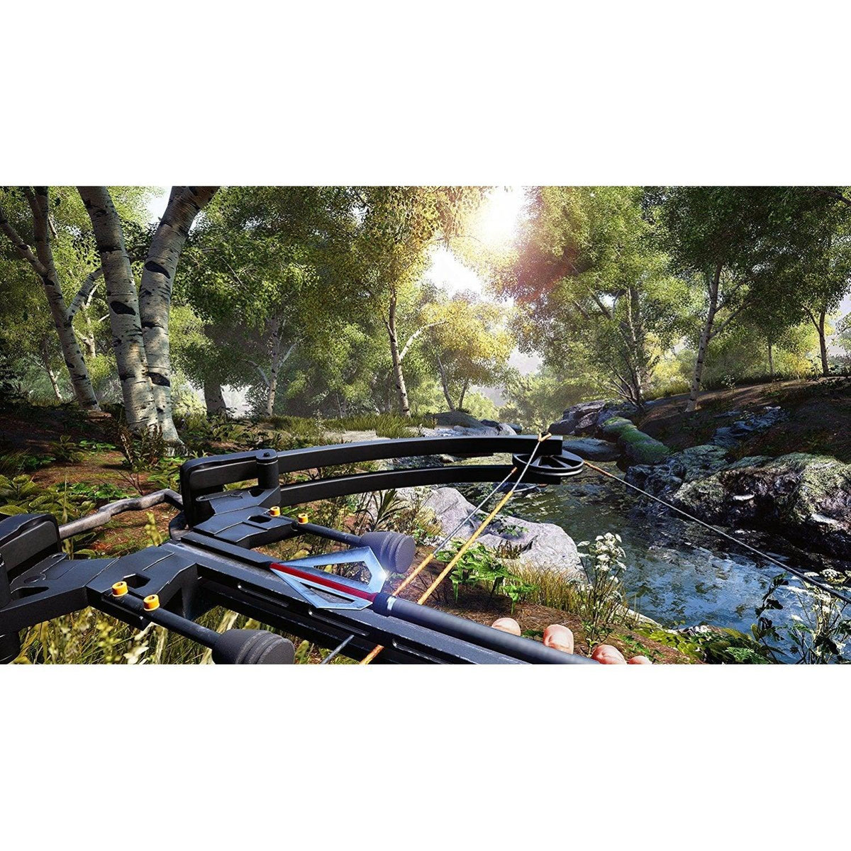 Nintendo Switch Hunting Simulator