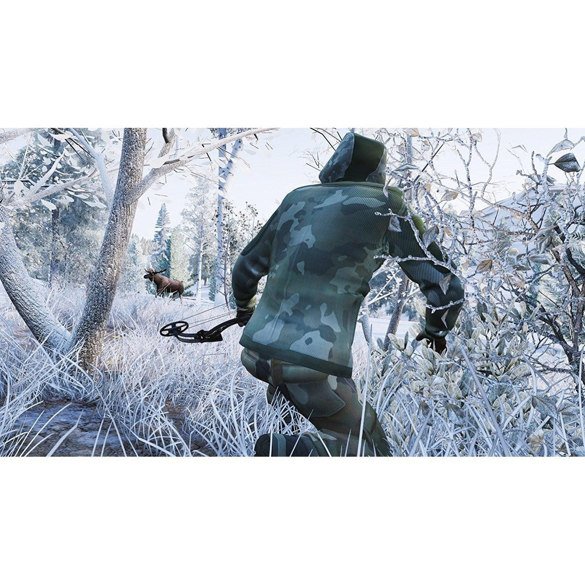 Nintendo Switch Hunting Simulator