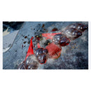 Nintendo Switch Jump Force Deluxe Edition