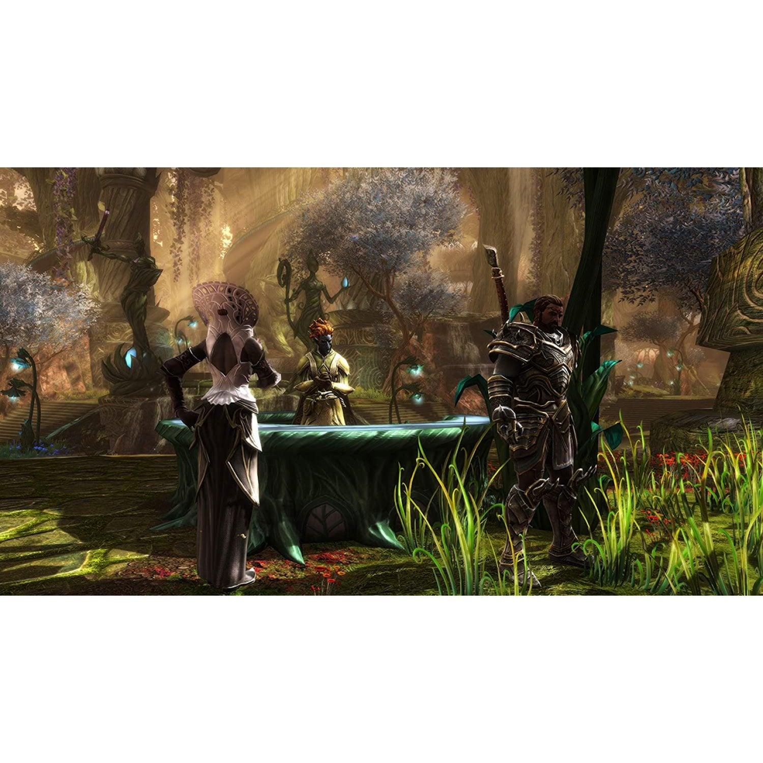 Nintendo Switch Kingdoms Of Amalur Re-Reckoning