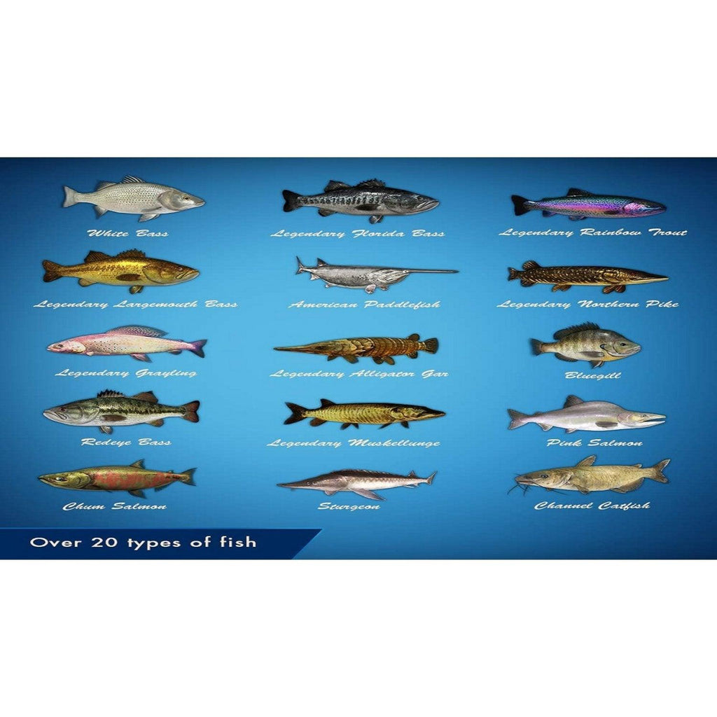 DATABLITZ ECOMMERCE  PS4 LEGENDARY FISHING ALL (ENGFR)