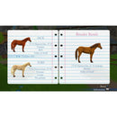 Nintendo Switch My Riding Stables Life With Horses