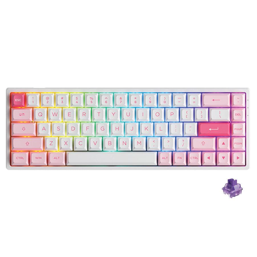 AKKO PRUNUS LANNESIANA 3068B MECHANICAL KEYBOARD (AKKO CS JELLY PURPLE) - DataBlitz