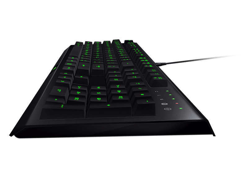 RAZER CYNOSA PRO BUNDLE (RAZER CYNOZA PRO AND RAZER DEATHADDER 2000) - DataBlitz