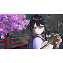 Nintendo Switch Samurai Maiden