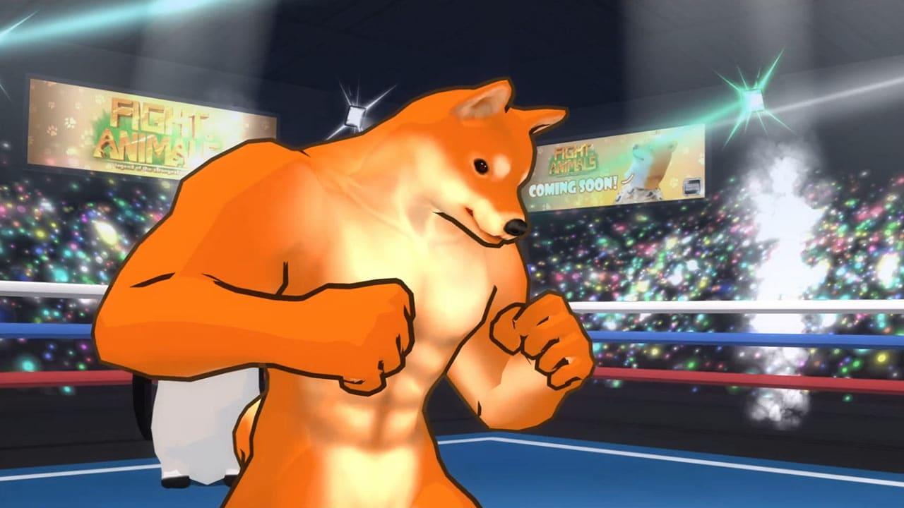 Nintendo Switch Fight Of Animals | DataBlitz