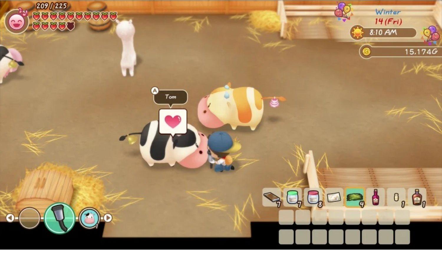 NINTENDO SWITCH STORY OF SEASONS FRIENDS OF MINERAL TOWN