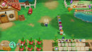 NINTENDO SWITCH STORY OF SEASONS FRIENDS OF MINERAL TOWN