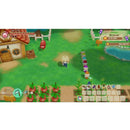 NINTENDO SWITCH STORY OF SEASONS FRIENDS OF MINERAL TOWN