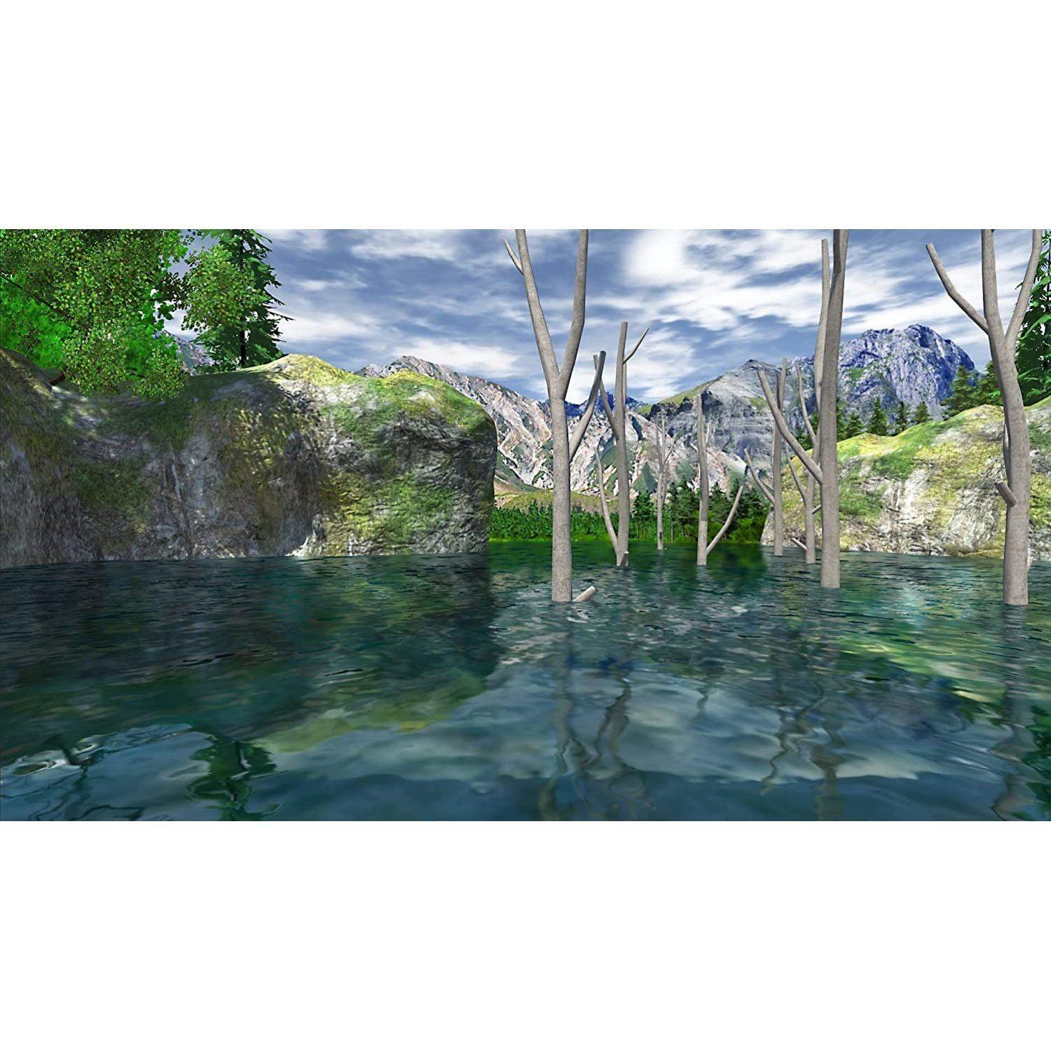 NINTENDO SWITCH THE BASS FISHING