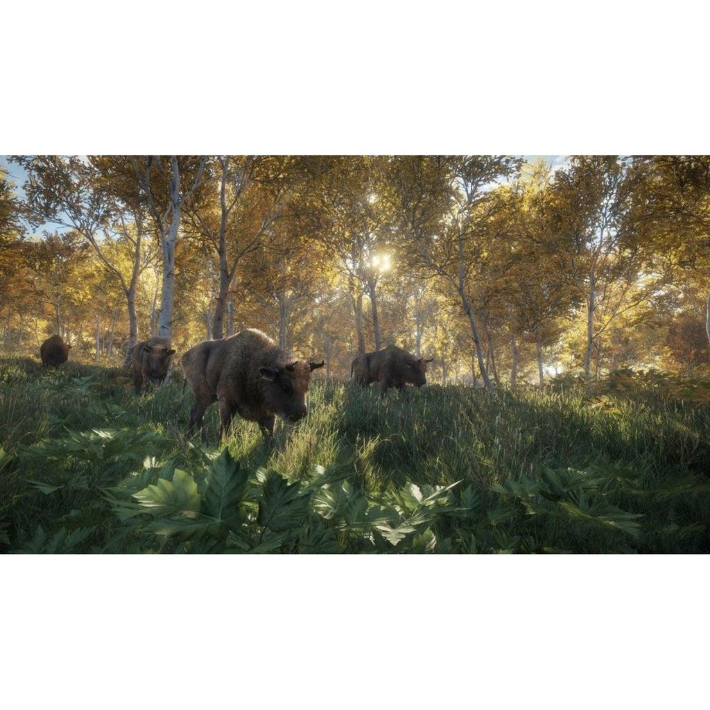 thehunter-call-of-the-wild-526973.4_1024x.jpg?v=1676795208