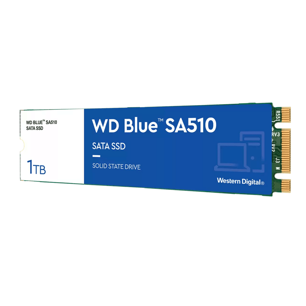 DataBlitz WD Blue SA510 1TB Sata SSD M.2 2280 (WDS100T3B0B-00AXS0)
