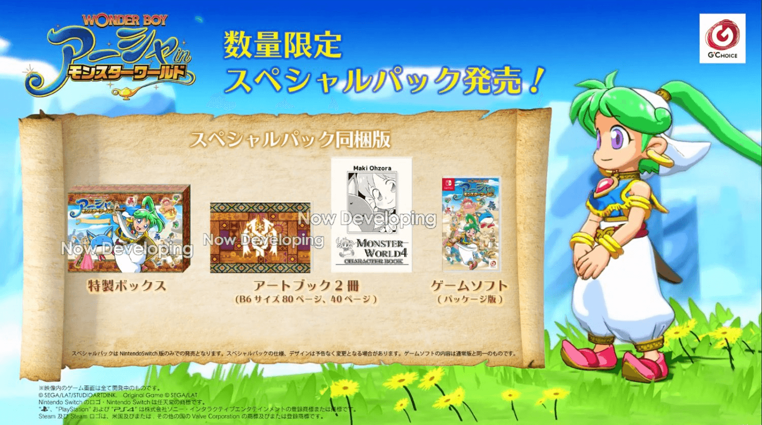 NINTENDO SWITCH WONDER BOY ASHA IN MONSTER WORLD SPECIAL PACK EDITION