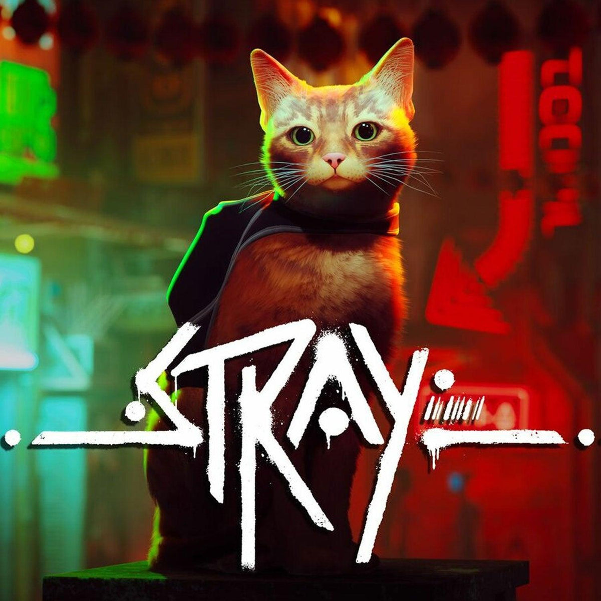Stray Hot Picks - DataBlitz