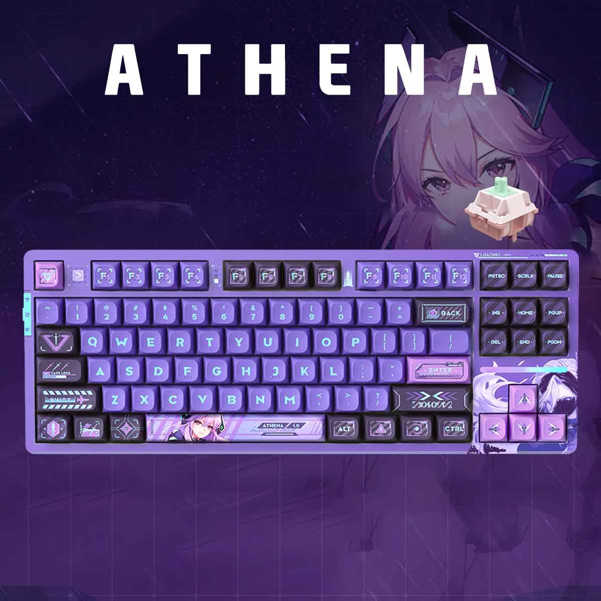 VXE V87 Pro Gasket RGB Mechanical Keyboard Anya Switch (Athena) | DataBlitz