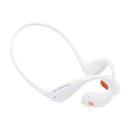 Harman JBL Endurance Pace Open-Ear Wireless Neckband Earphone