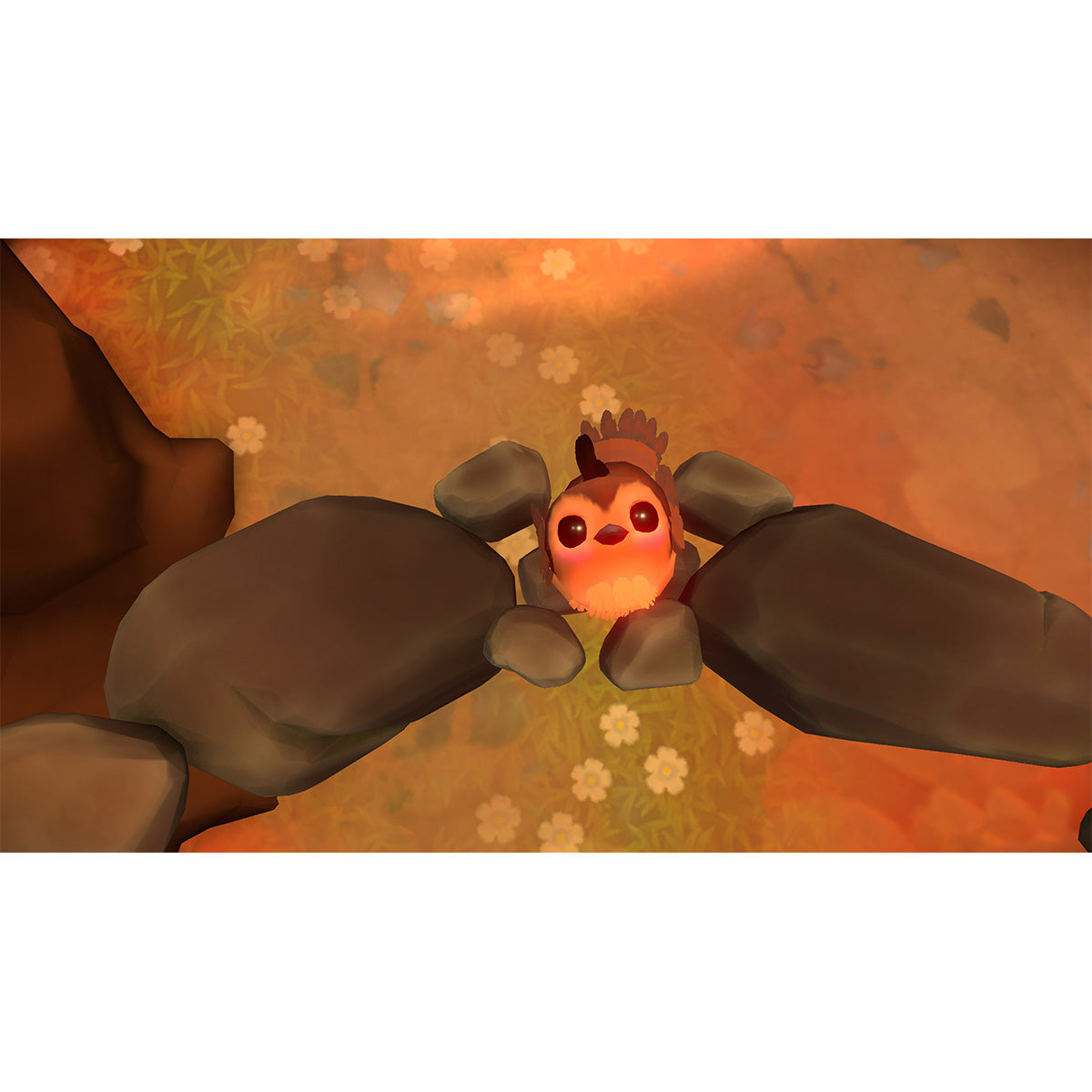 Unpetrified: Echoes of Nature