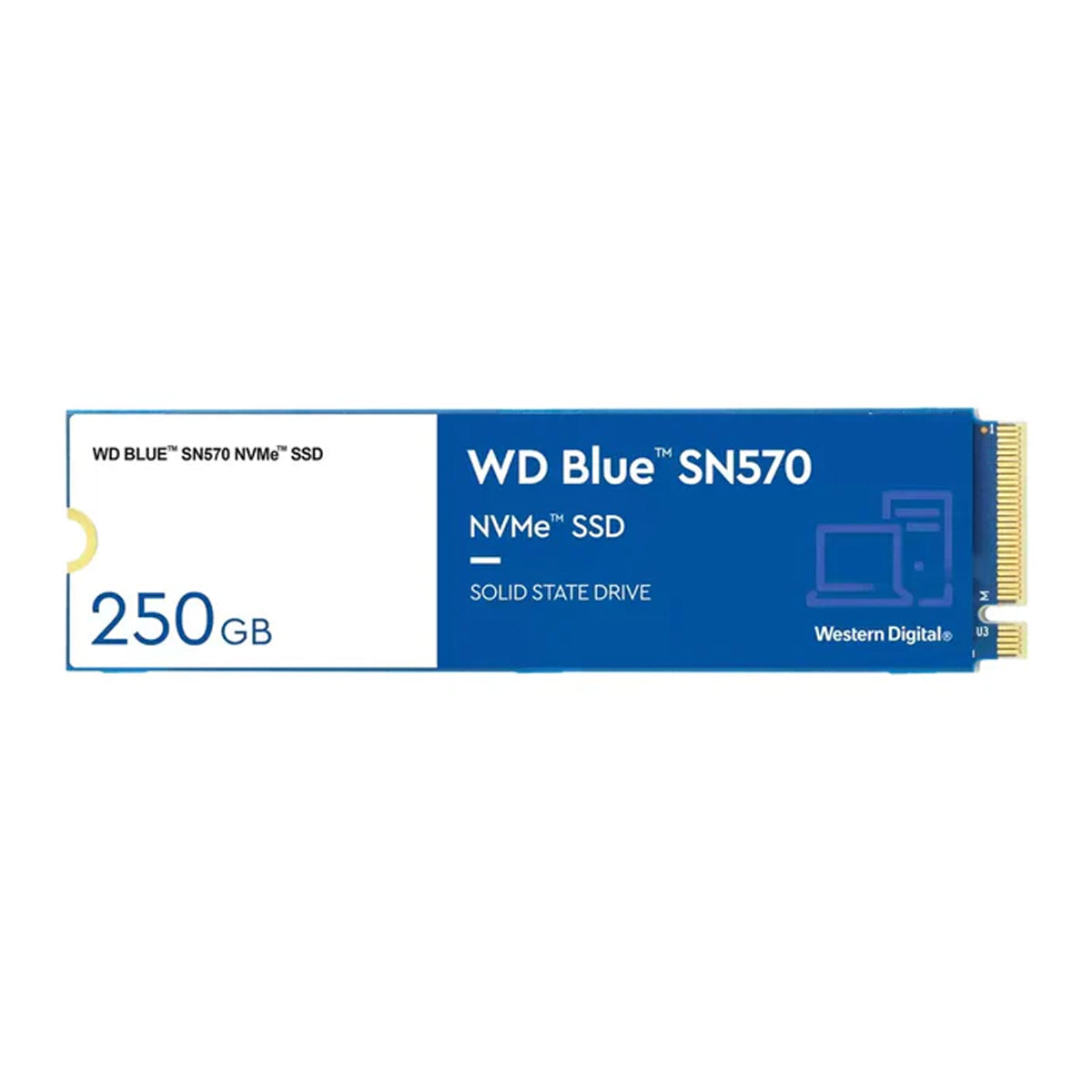 WD Blue SN570 250GB M.2 2280 NVME SSD (WDS250G3B0C)