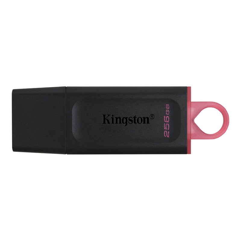 Kingston DataTraveler Exodia 256GB USB 3.2 Gen 1 USB Flash Drive (DTXM/256GB)