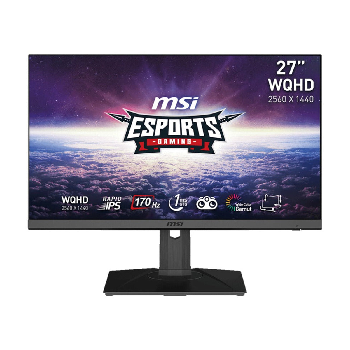 MSI G272QPF 27” WQHD Rapid IPS 170Hz 1ms GTG Adaptive Sync Compatible Esports Gaming Monitor