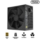 Fractal Design Ion Gold 750W Fully Modular Power Supply (FD-P-IA2G-750)