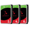 Seagate IronWolf NAS SATA 3.5-Inch 6GB/s 256MB Cache 5400 RPM Internal HDD