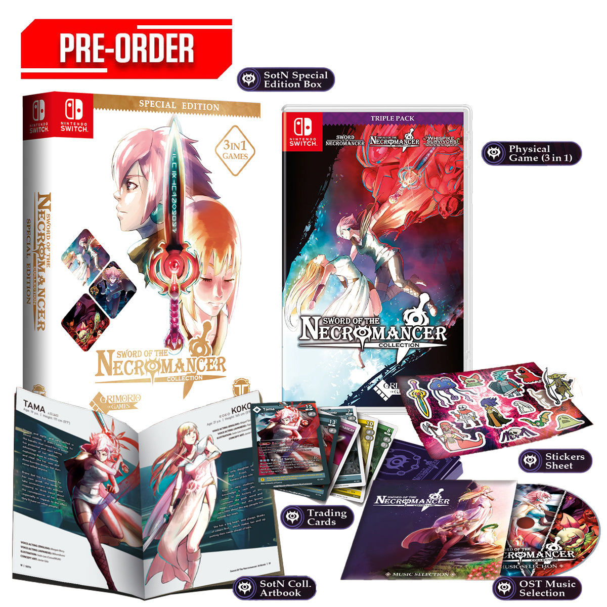 Nintendo Switch Sword of the Necromancer Collection Special Edition