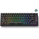 Akko TAC75 HE Shine-Through Black Wired ARGB Mechanical Keyboard