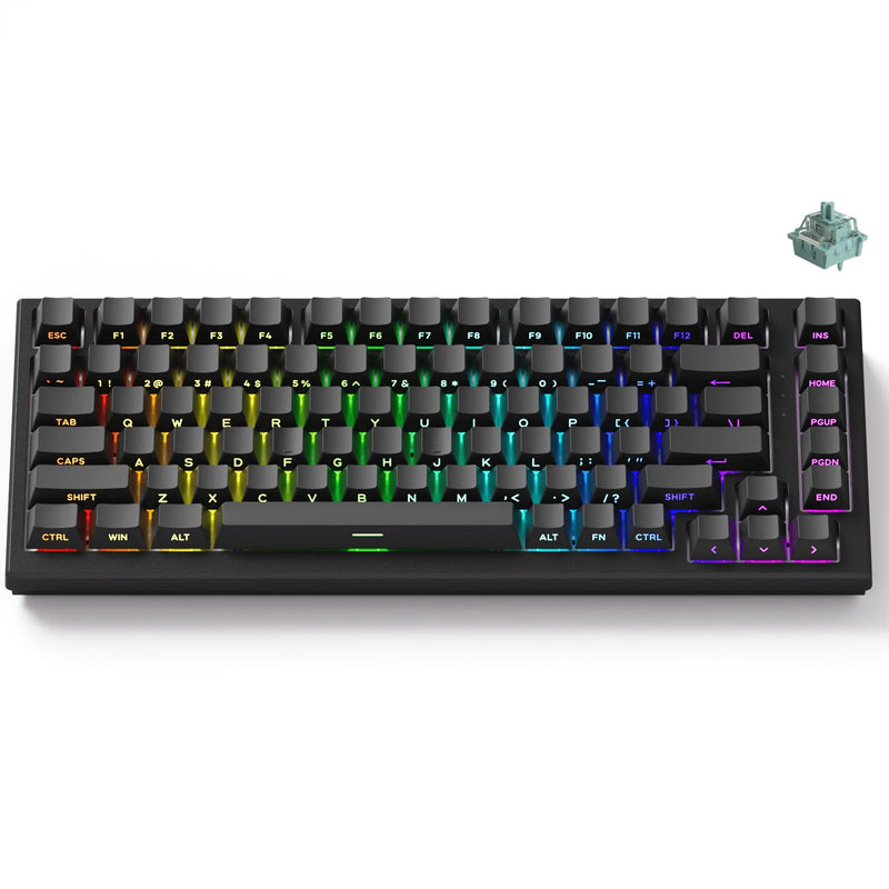 Akko TAC75 HE Shine-Through Black Wired ARGB Mechanical Keyboard